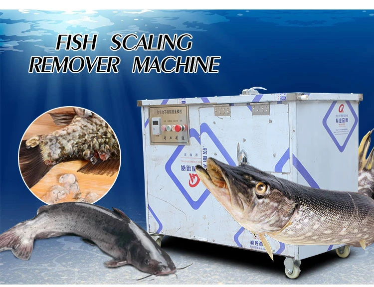 Remove fish scale machine Remove fish scale machine