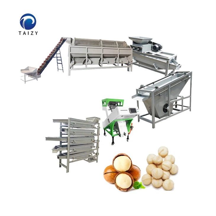 macadamia nut production line-3
