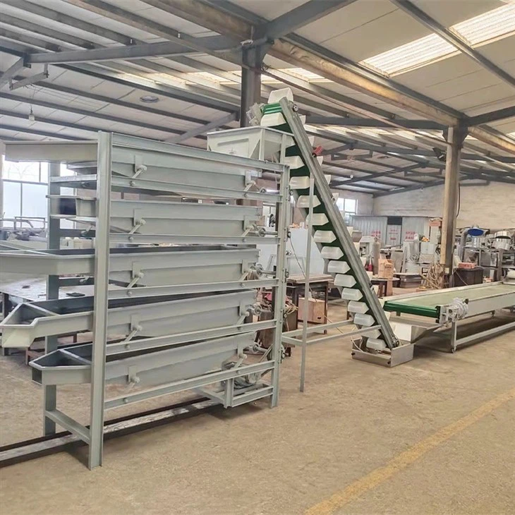 macadamia nut production line-5