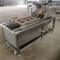 葉物野菜洗浄機