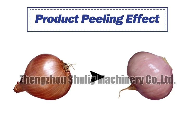 Chain type onion peeler Chain type onion peeler