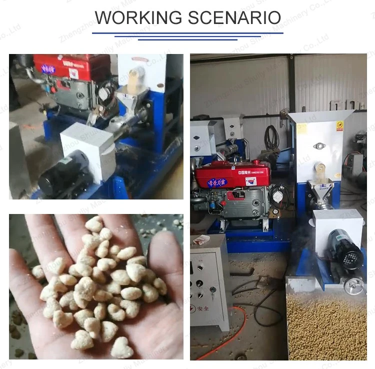 Floating Fish Feed Pellet Pelletizer Floating Fish Feed Pellet Pelletizer