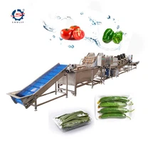 果物と野菜の洗浄生産ライン